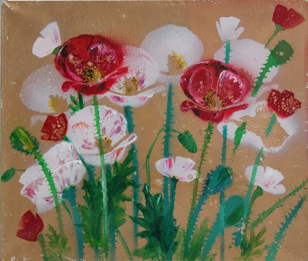 Poppies