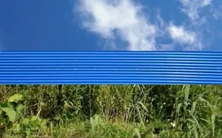 Blue Fence / Синий забор