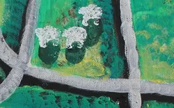 Sheep
